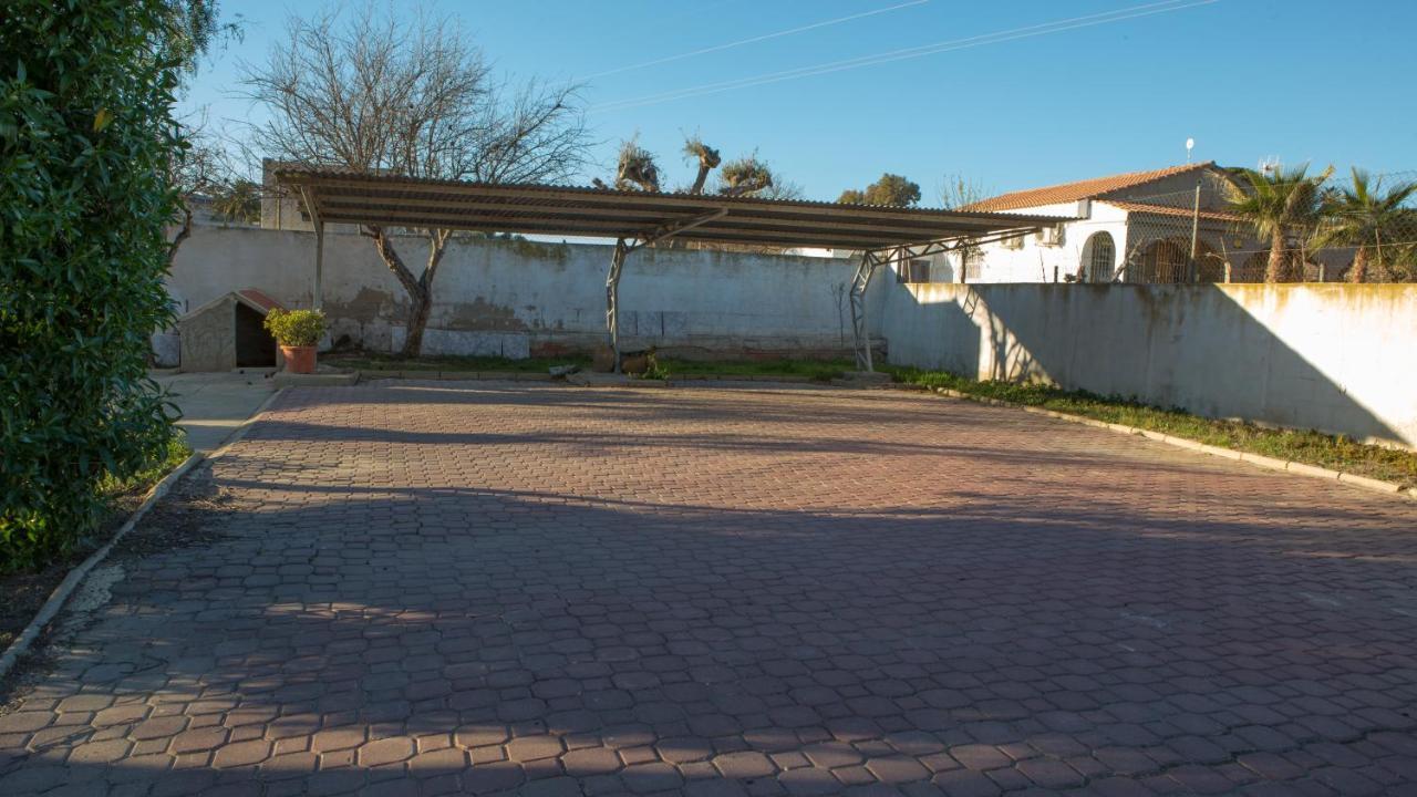 Estudio Adosado Con Jardin Y Parking Privado 알리칸테 외부 사진
