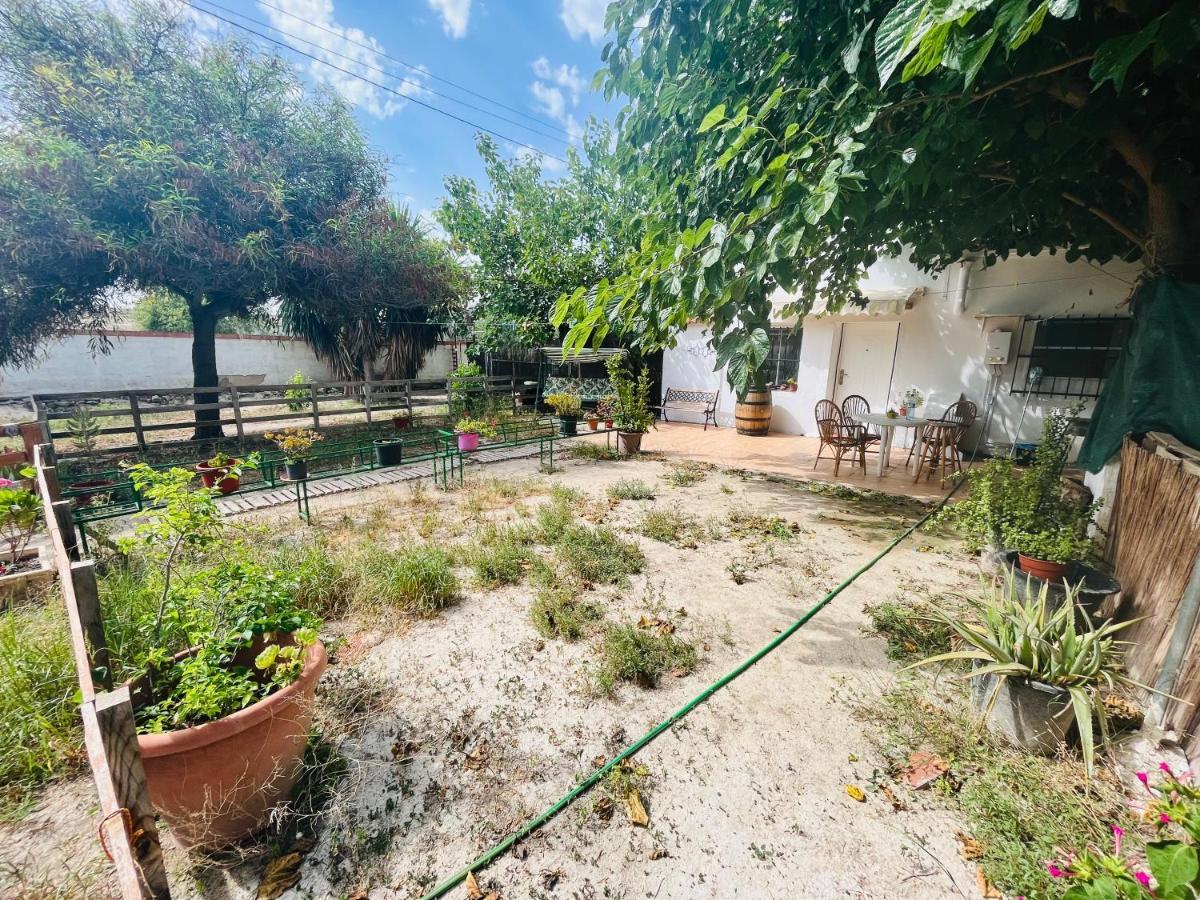 Estudio Adosado Con Jardin Y Parking Privado 알리칸테 외부 사진